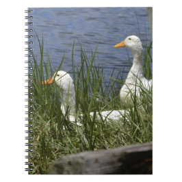 DuckNotebook Notizblock