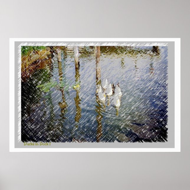 Ducks Aquarelldruck Poster (Vorne)