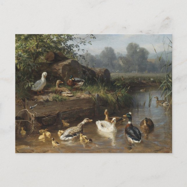 Ducks by Stream by Carl Jutz Postkarte (Vorderseite)