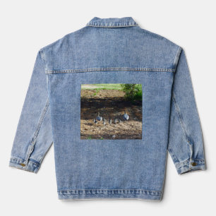 Ducks Family Walk, Denim Jacket Jeansjacke