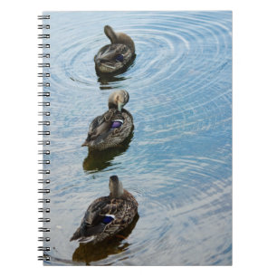 Ducks in einem Row-Notebook Notizblock