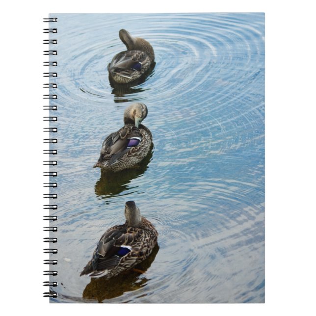 Ducks in einem Row-Notebook Notizblock (Vorderseite)