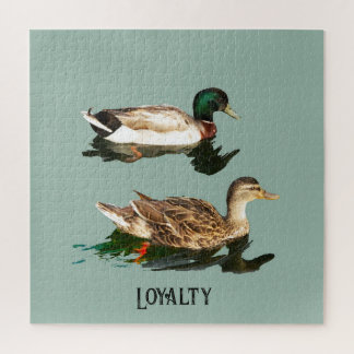 Ducks mallards
