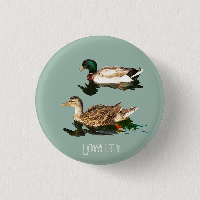 Ducks mallards button (Vorderseite)