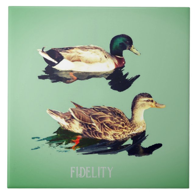 Ducks mallards essbare Zuckerguss Runden Fliese (Vorderseite)