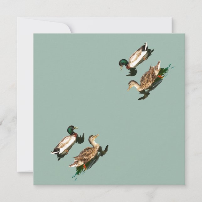 Ducks mallards feiertagskarte (Vorderseite)