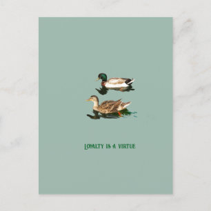 Ducks mallards feiertagspostkarte