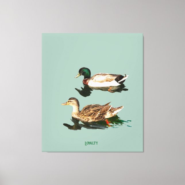 Ducks mallards leinwanddruck (Vorderseite)