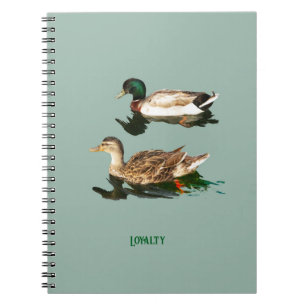 Ducks mallards notizblock