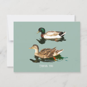 Ducks mallards postkarte