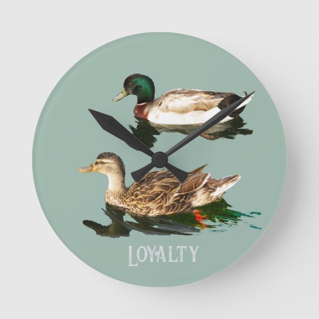 Ducks mallards runde wanduhr (Vorderseite)