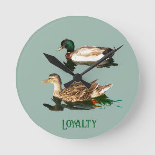 Ducks mallards runde wanduhr