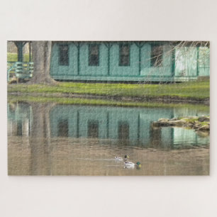 Ducks on Pond @Goodwin Park Hartford