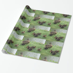 Duckt Geschenk-Packpapier Geschenkpapier
