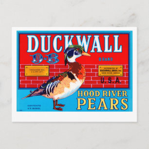 Duckwall Hood River Birnen Postkarte