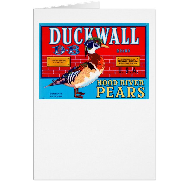 Duckwall Hood River Pears (Vorne)