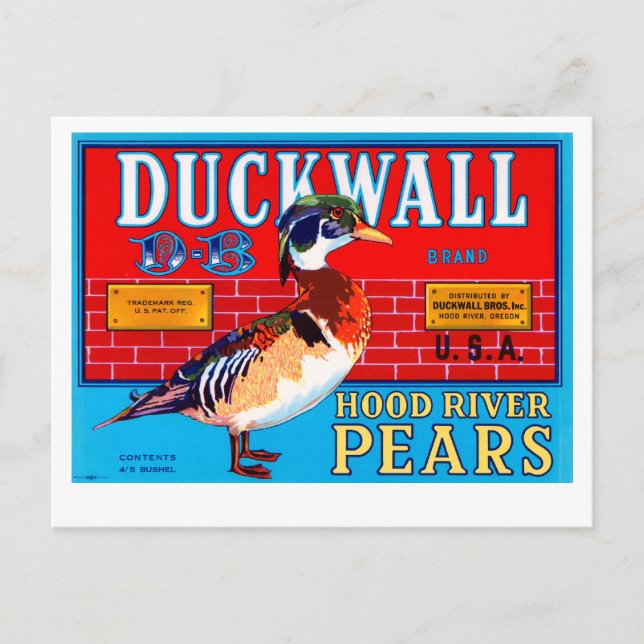 Duckwall Hood River Pears Postkarte (Vorderseite)
