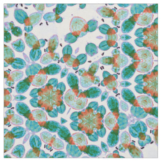 Duckweed Drama Stoff