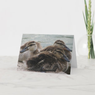 Ducky Day Greeting Card Karte
