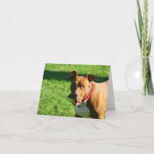 Dudley 2 Note Card Karte