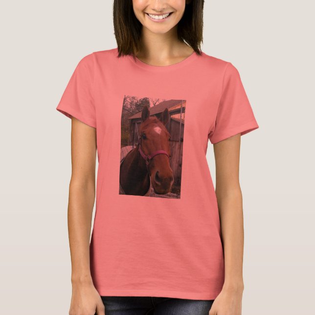 Dudley Retirement T-Shirt (Vorderseite)