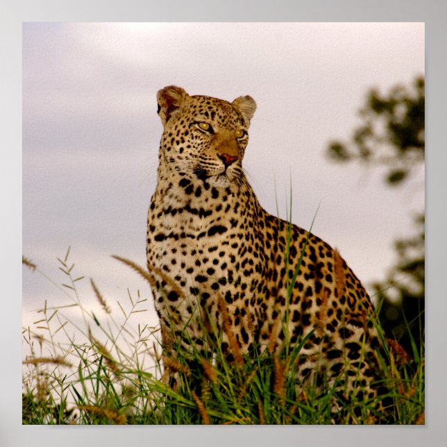 Dudley River Bank Poster (Vorne)