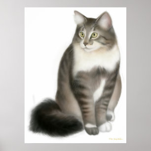 Duffy die Maine-Coon-Katze drucken Poster