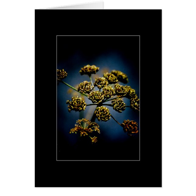 Duftende Blumen (Vorne)