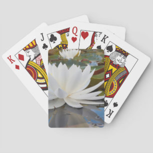 Duftende Seerose (Nymphaea Odorata) auf Caddo Spielkarten