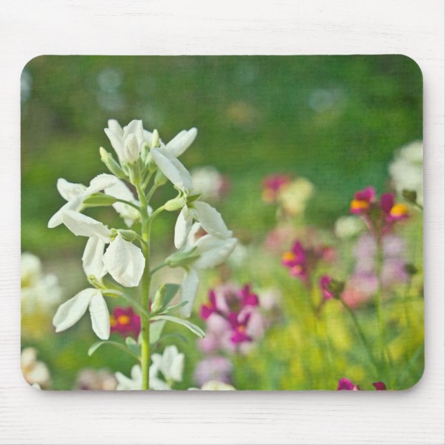 Duftgarten Mousepad (Vorne)