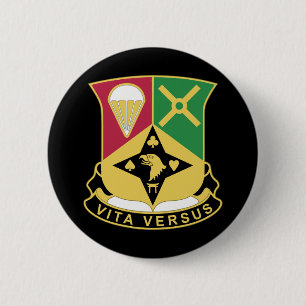 DUI - 101. Im Flugzeug Division Sustainment Brigad Button