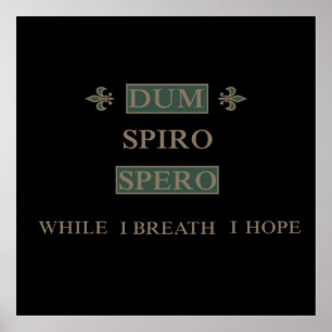 Dum spiro spero poster