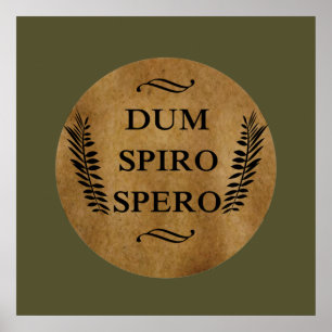 Dum spiro spero poster