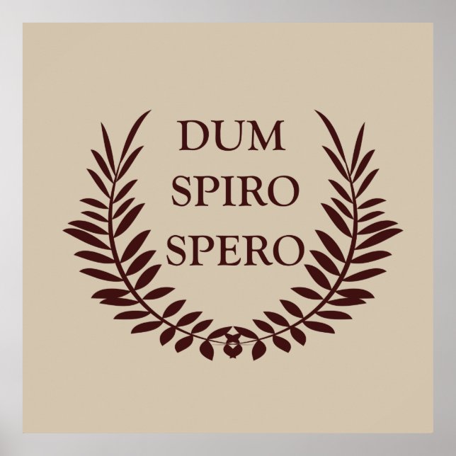 Dum spiro spero poster (Vorne)