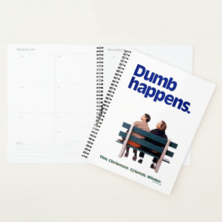 Dumb and Dumber | Des imperfections