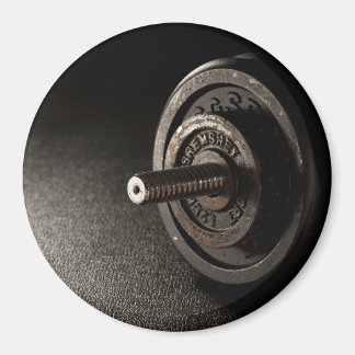 Dumbbell Magnet
