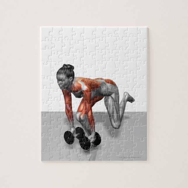 Dumbell Single Leg Deadlift (Vertikal)
