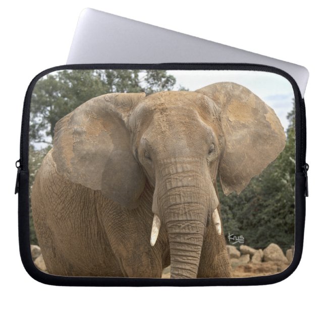 Dumbo Electronics Laptop Sleeve (Vorderseite)
