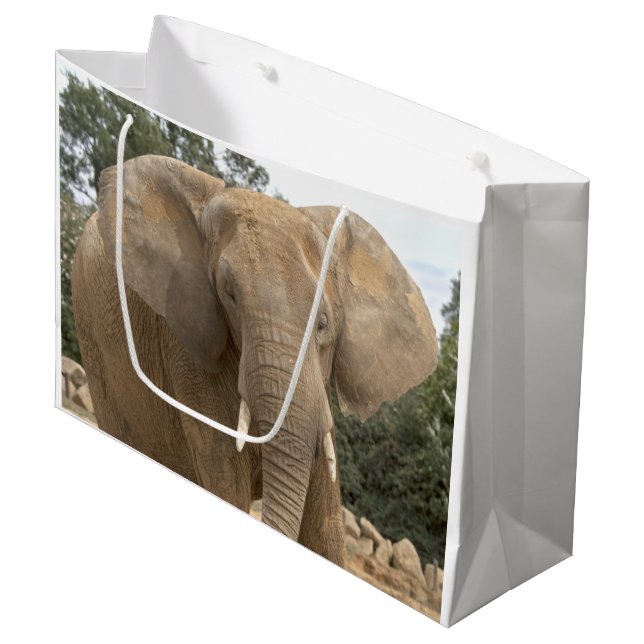 Dumbo-Geschenktasche Große Geschenktüte (Vorderseite Schrägansicht)