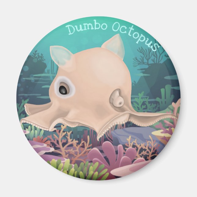 Dumbo Octopus Magnet (Vorne)
