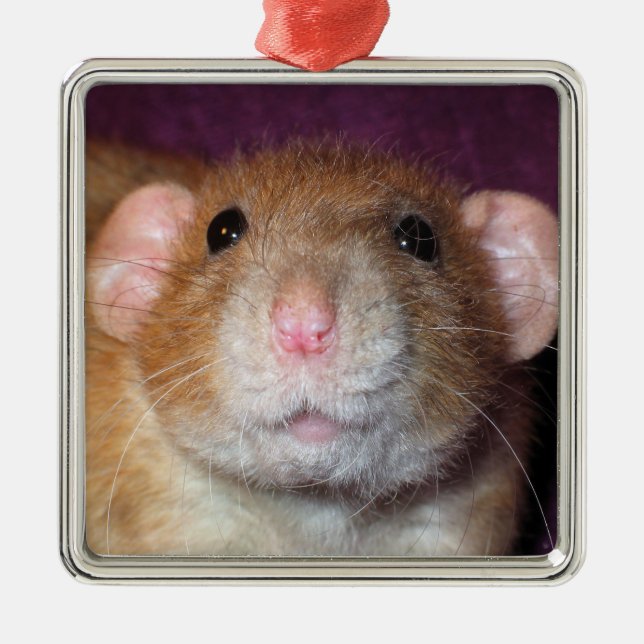 Dumbo Ratten-Verzierung Ornament Aus Metall (Vorne)