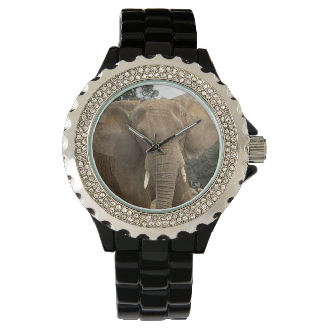Dumbo Watch Armbanduhr (Vorderseite)