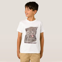 dumme Katze