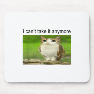 Dummer Eulenkatze-Meme, ich halte es nicht mehr au Mousepad