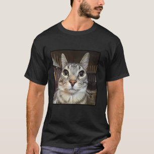 Dummes starrendes Katzen-Meme T-Shirt