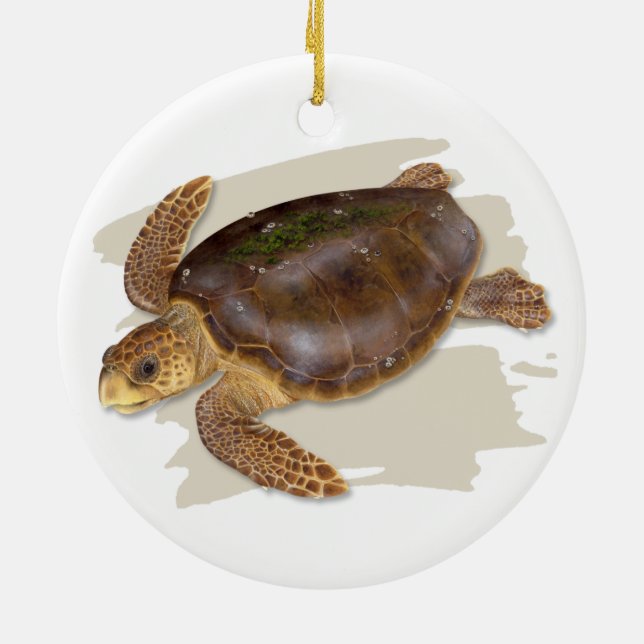 Dummkopf-Seeschildkröte-Keramik-Verzierung Keramikornament (Hinten)