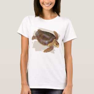 Dummkopf-Seeschildkröte-T - Shirt