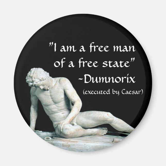 Dumnorix Magnet (Vorne)