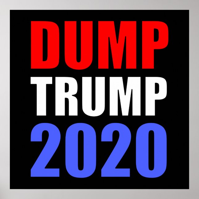 Dump Trump 2020 Anti-Trump Poster (Vorne)