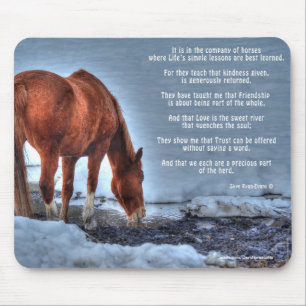 Dun Ranch Horse Drink am Pool Equine Foto Mousepad